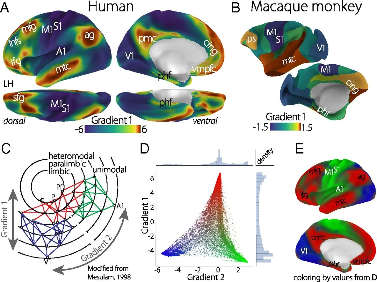 Figure from a PNAS publication